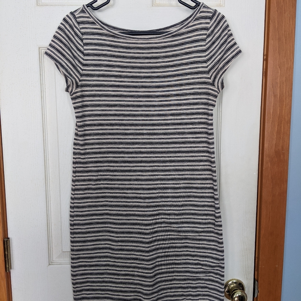 Loft Cotton Dress